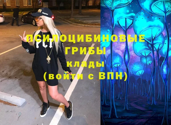 шишки Осташков